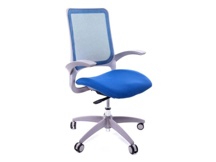 OFW Aprilia Blue Task Chair