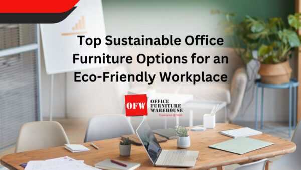 Top Sustainable Office Furniture Options for an Eco-Friendly Workplace