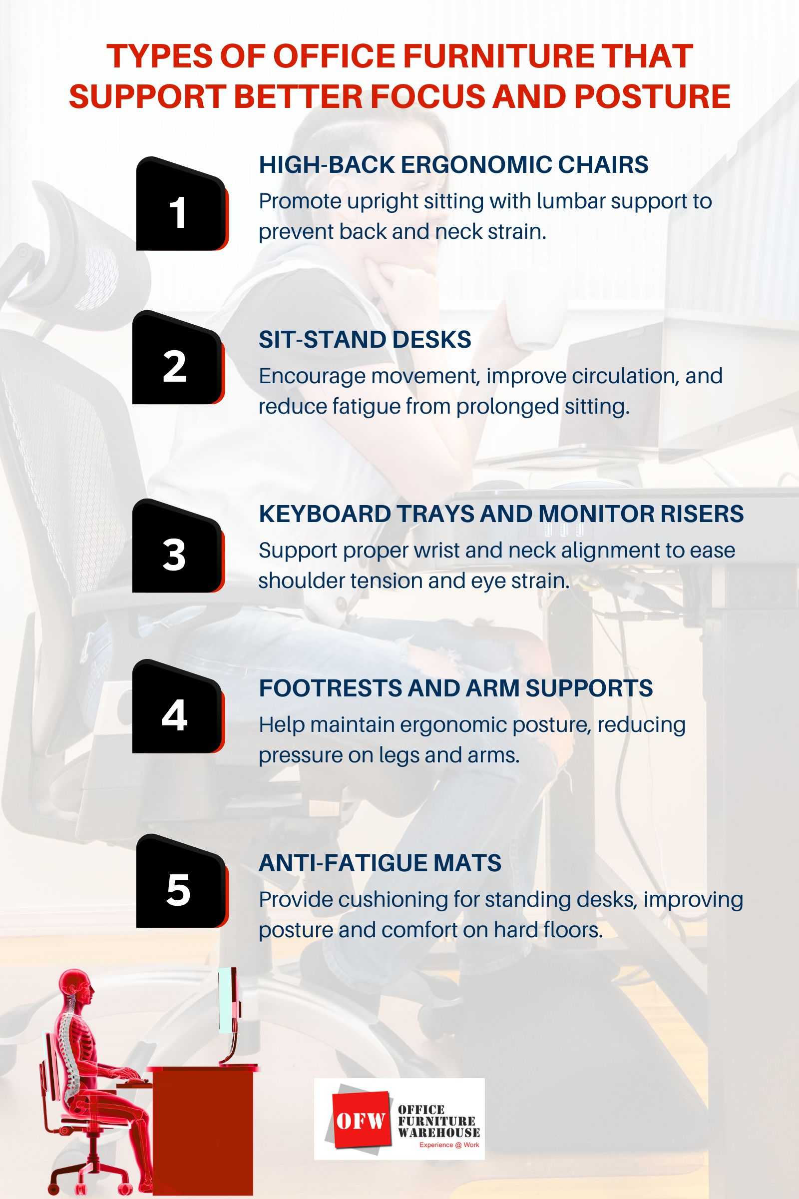 Types of Office Furniture That Support Better Focus and Posture