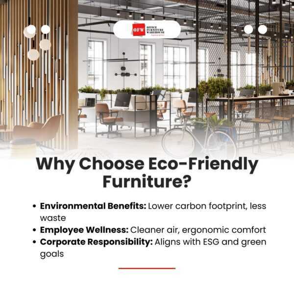 Why Choose Eco-Friendly Furniture